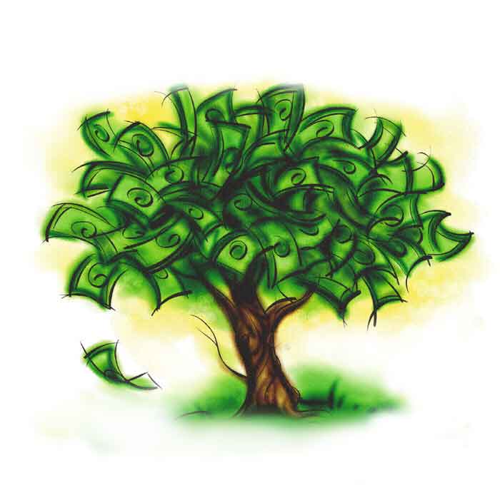 increase's avatar - money tree